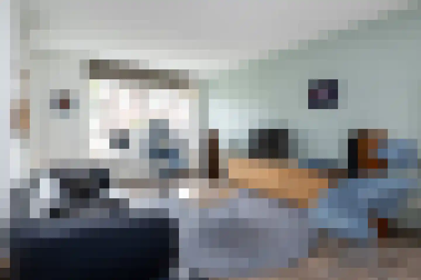 Alexiastraat 8 Melissant thumbnail 7