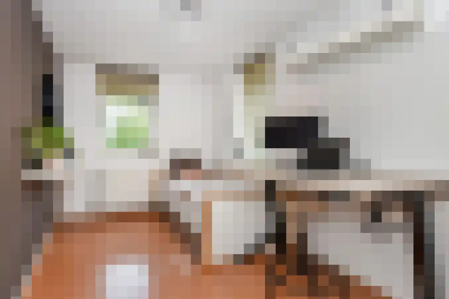 Alexine Tinnepad 101 Den Haag thumbnail 33
