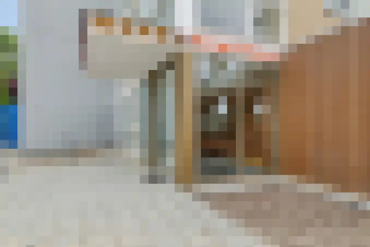 Aleyda van Raephorstlaan 109 Rotterdam thumbnail 7