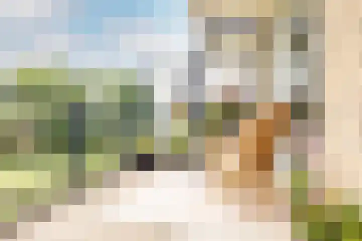 Aleyda van Raephorstlaan 151 Rotterdam thumbnail 14