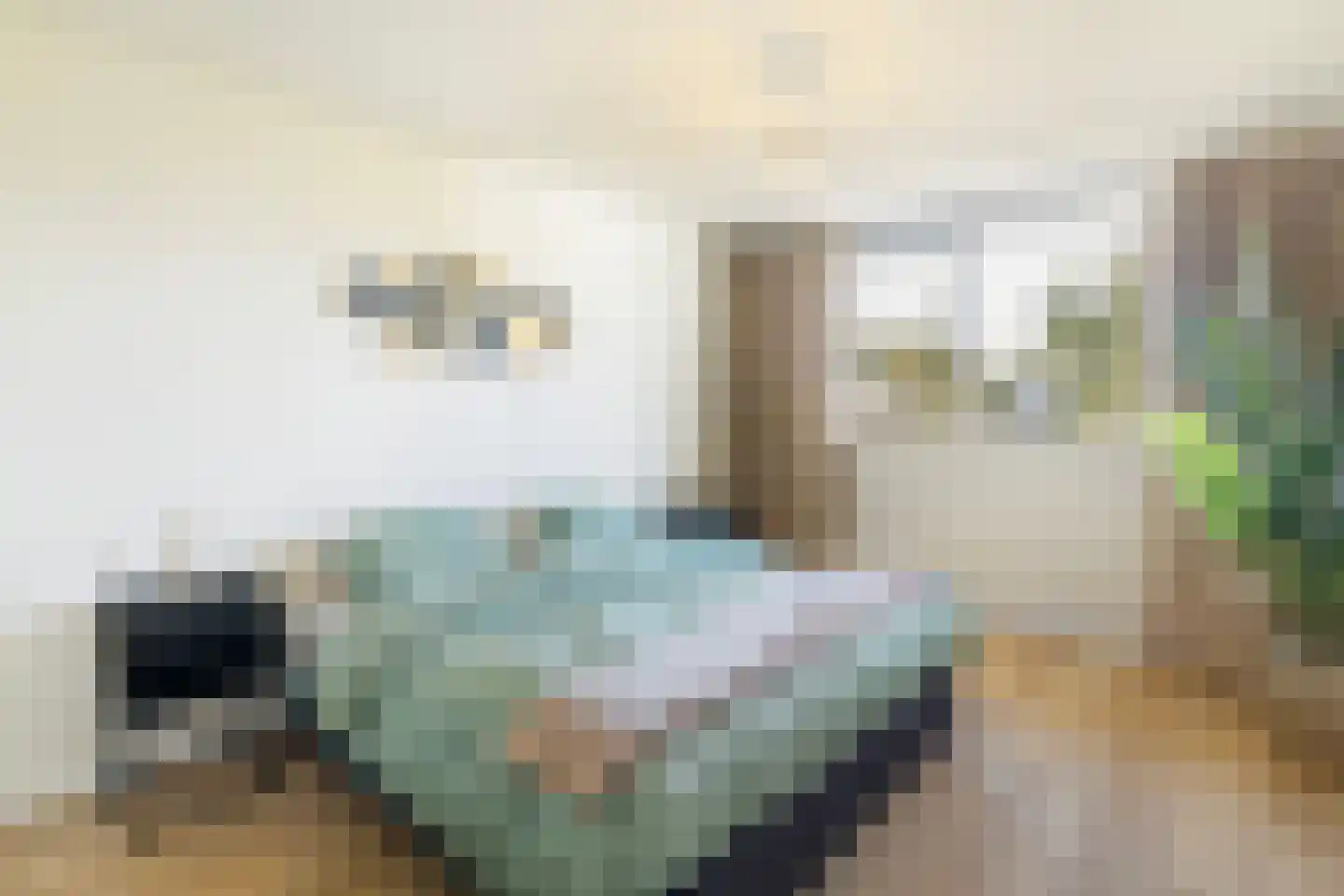 Aleyda van Raephorstlaan 151 Rotterdam thumbnail 18