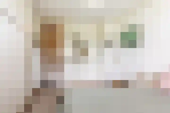 Aleyda van Raephorstlaan 151 Rotterdam thumbnail 21