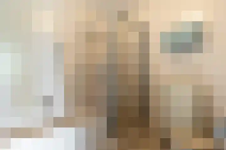Aleyda van Raephorstlaan 151 Rotterdam thumbnail 22
