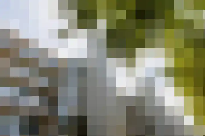 Aleyda van Raephorstlaan 151 Rotterdam thumbnail 26