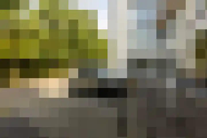 Aleyda van Raephorstlaan 151 Rotterdam thumbnail 28