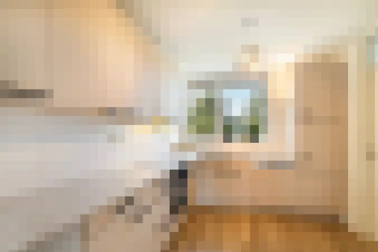 Aleyda van Raephorstlaan 151 Rotterdam thumbnail 5