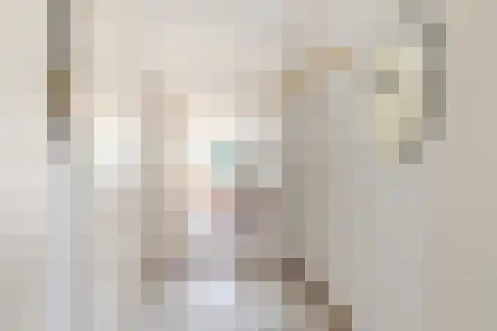 Aleyda van Raephorstlaan 151 Rotterdam thumbnail 7