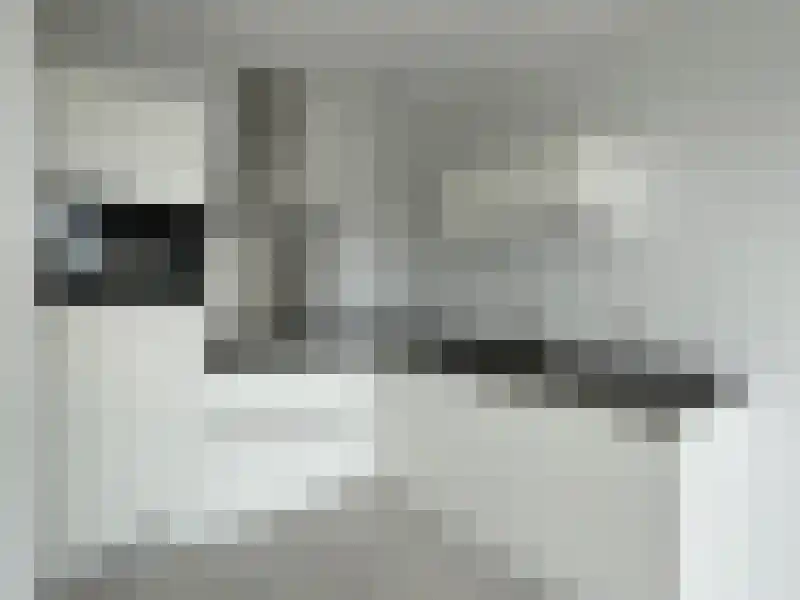 Alfabetweg Leiden thumbnail 11