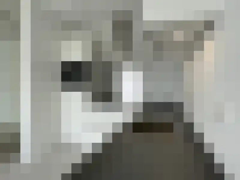 Alfabetweg Leiden thumbnail 12