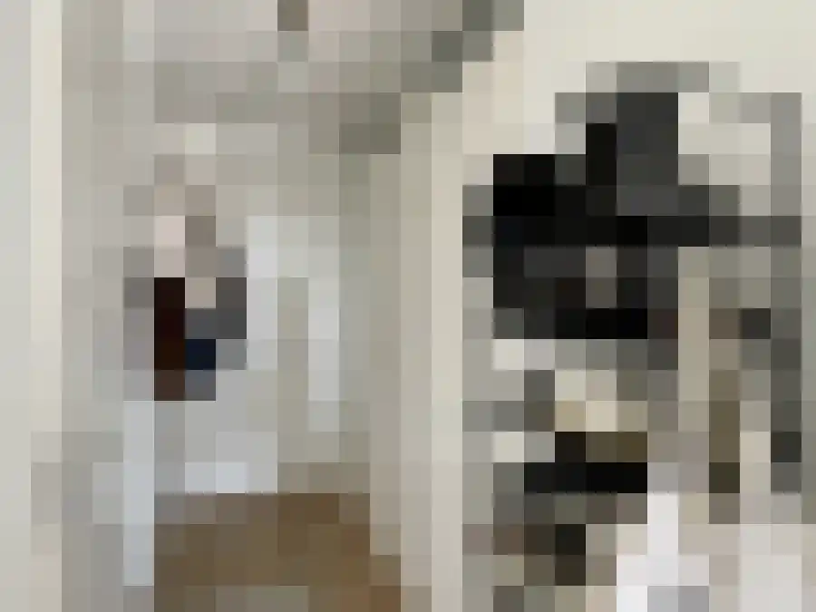 Alfabetweg Leiden thumbnail 4