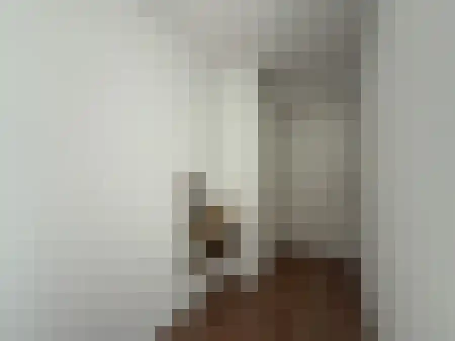 Alfabetweg Leiden thumbnail 4