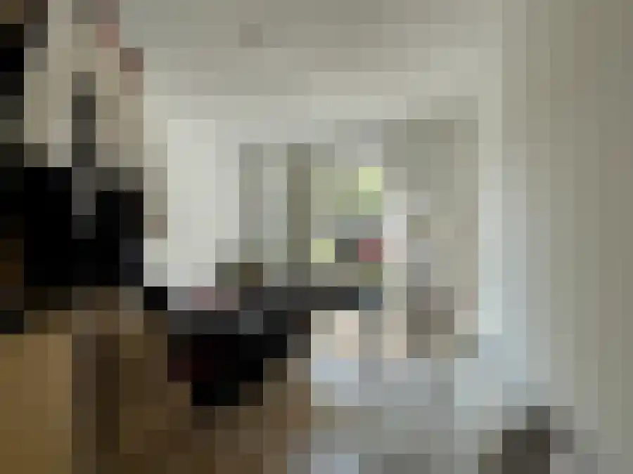 Alfabetweg Leiden thumbnail 4