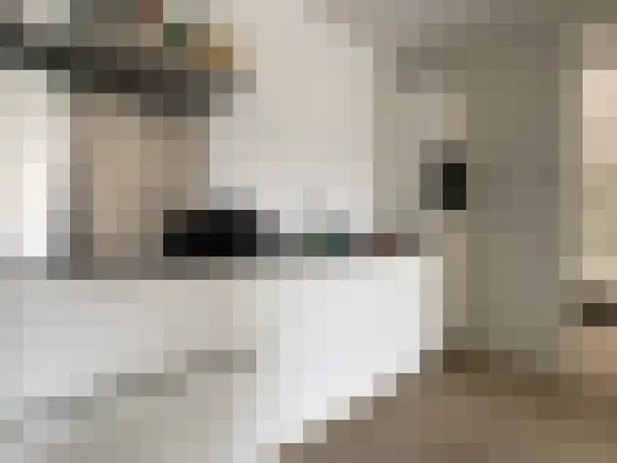 Alfabetweg Leiden thumbnail 4