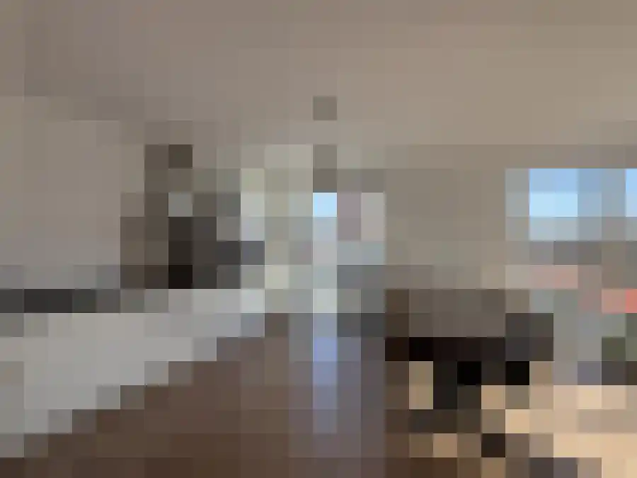 Alfabetweg Leiden thumbnail 4