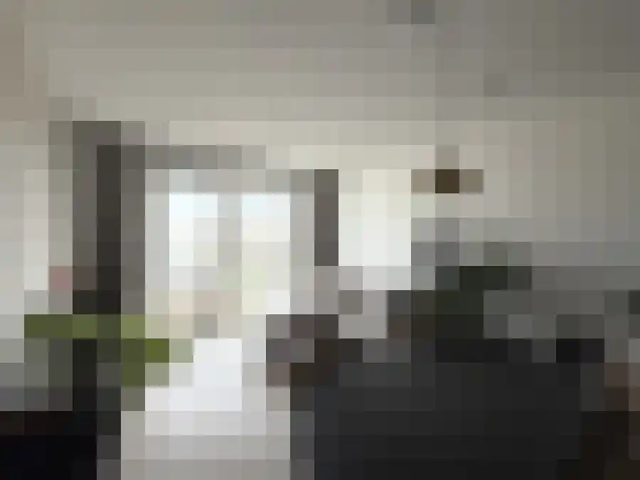 Alfabetweg Leiden thumbnail 4