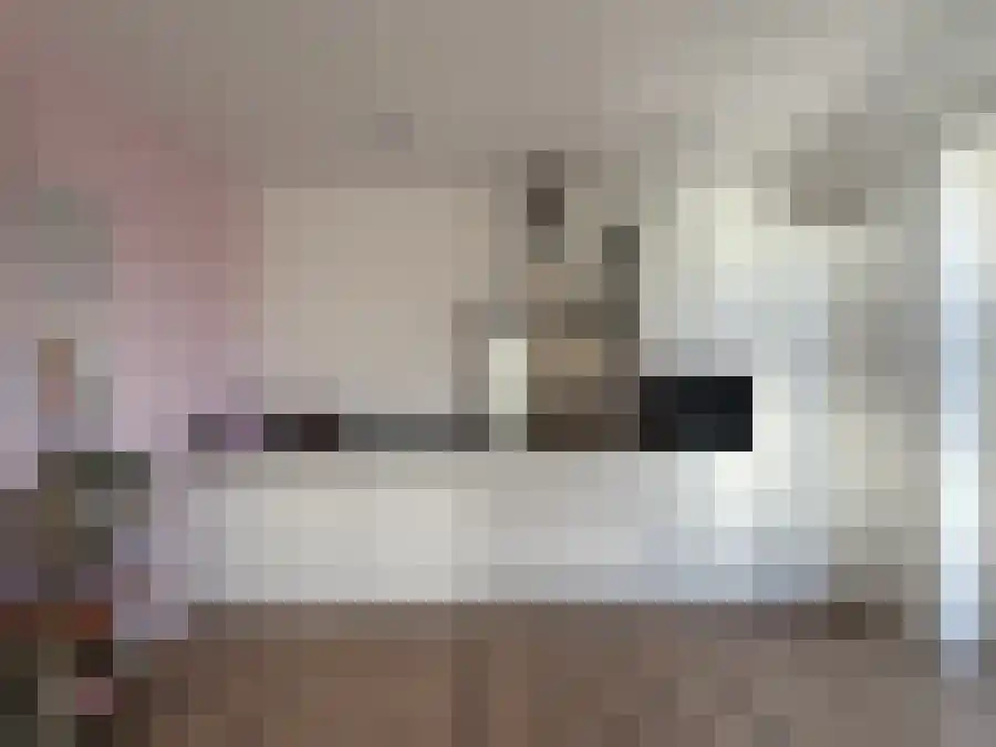 Alfabetweg Leiden thumbnail 5
