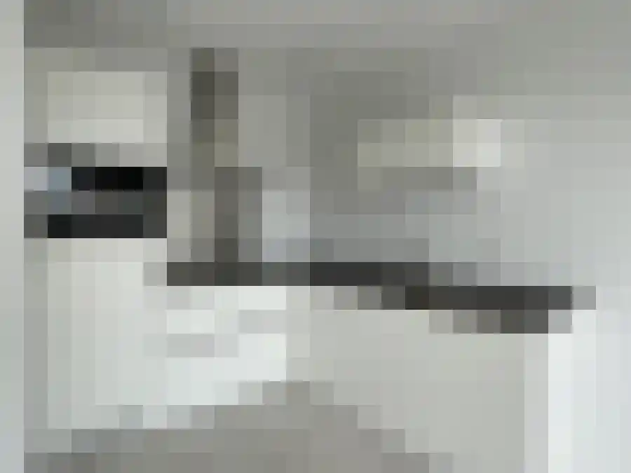 Alfabetweg Leiden thumbnail 5