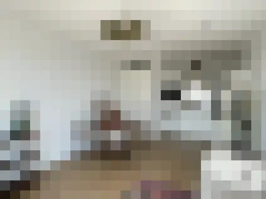 Alfabetweg Leiden thumbnail 5