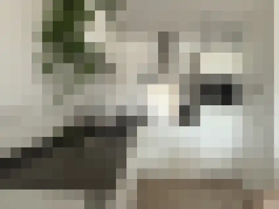 Alfabetweg Leiden thumbnail 5