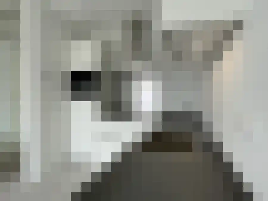 Alfabetweg Leiden thumbnail 6