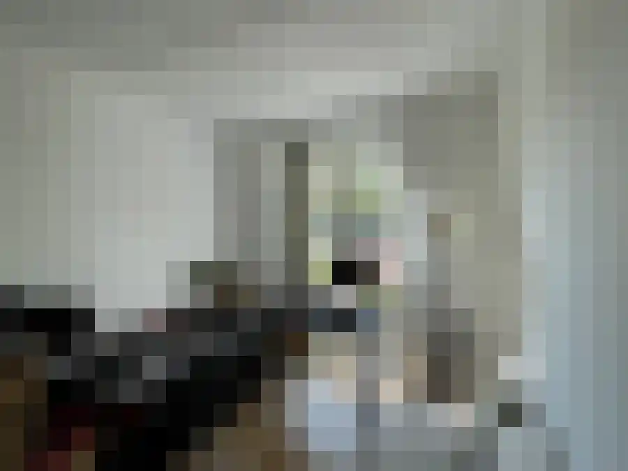 Alfabetweg Leiden thumbnail 6