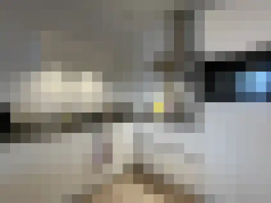 Alfabetweg Leiden thumbnail 6