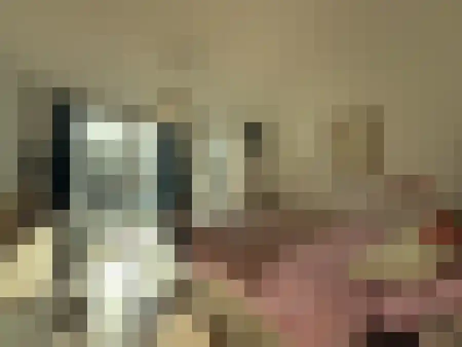 Alfabetweg Leiden thumbnail 6