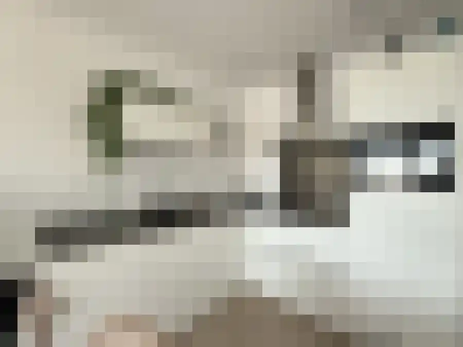 Alfabetweg Leiden thumbnail 6