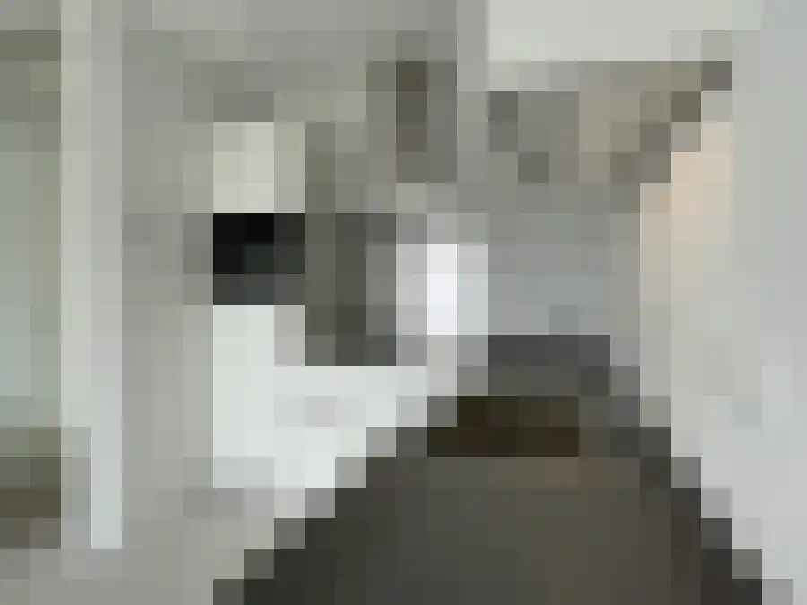 Alfabetweg Leiden thumbnail 6