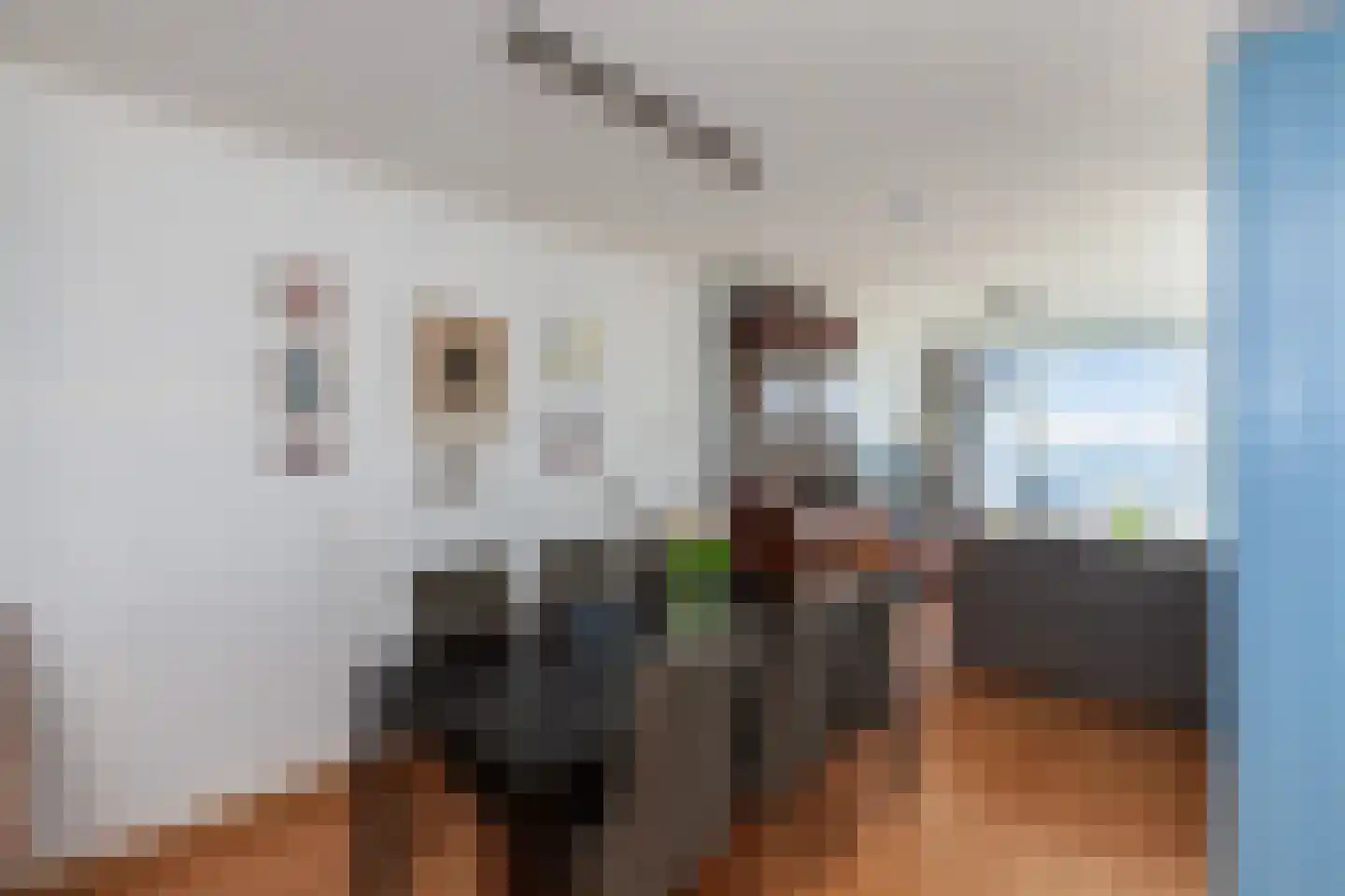 Alferbos 112 Zoetermeer thumbnail 7