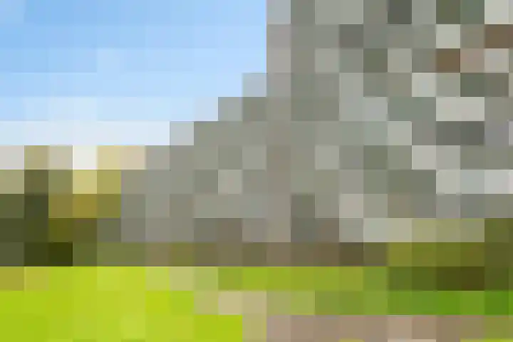 Alferbos 184 Zoetermeer thumbnail 11