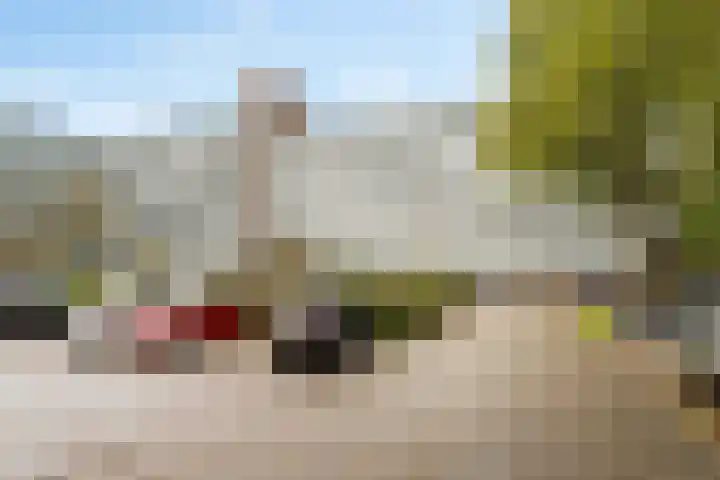 Alferbos 184 Zoetermeer thumbnail 12