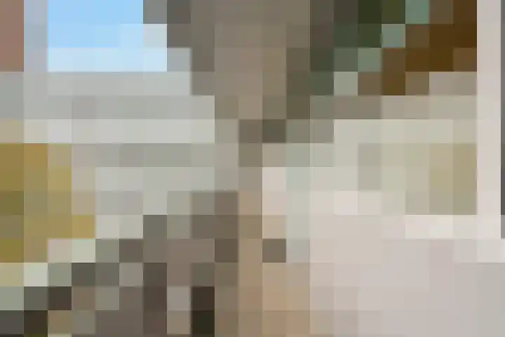 Alferbos 184 Zoetermeer thumbnail 15