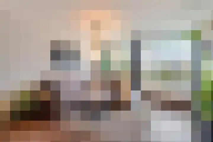Alferbos 184 Zoetermeer thumbnail 19