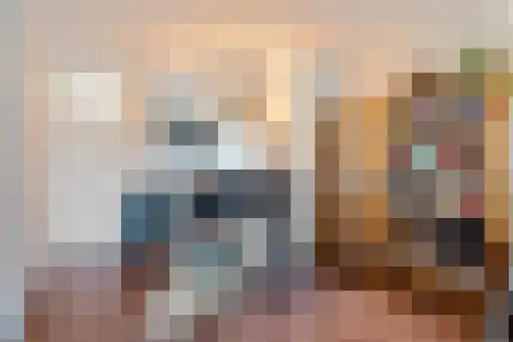 Alferbos 184 Zoetermeer thumbnail 22