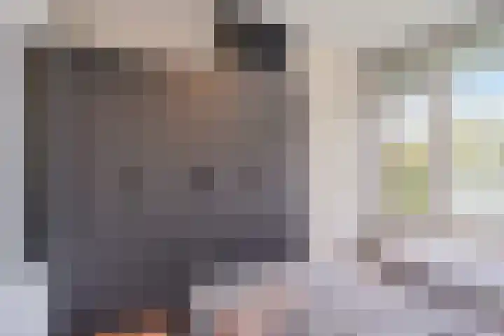 Alferbos 184 Zoetermeer thumbnail 29