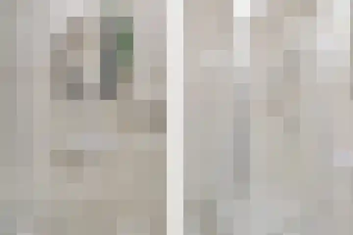 Alferbos 184 Zoetermeer thumbnail 31