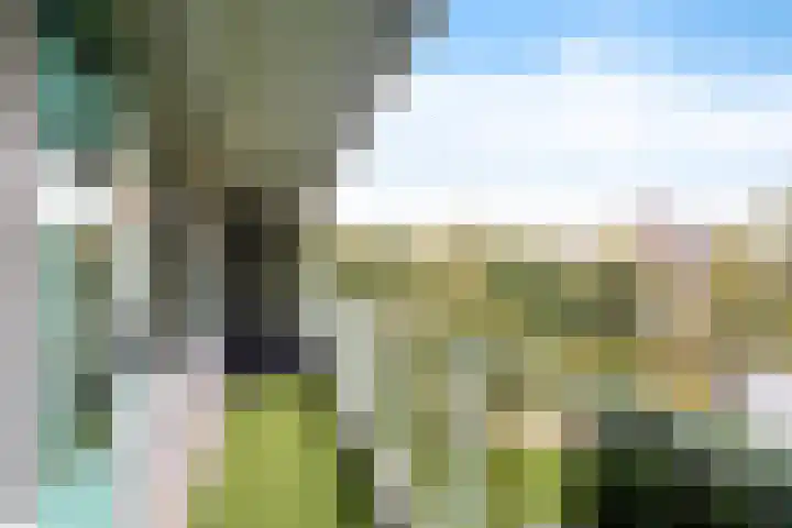 Alferbos 184 Zoetermeer thumbnail 37
