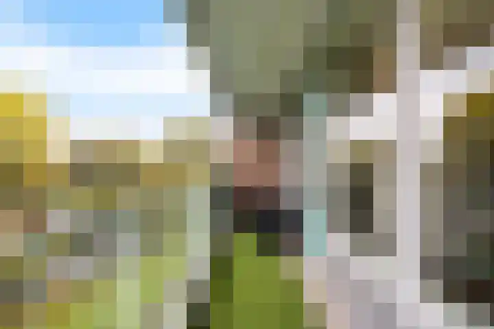 Alferbos 184 Zoetermeer thumbnail 38