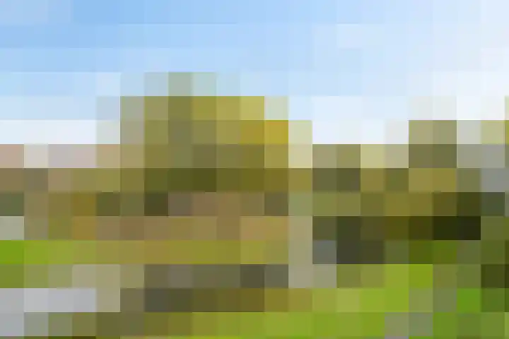 Alferbos 184 Zoetermeer thumbnail 39