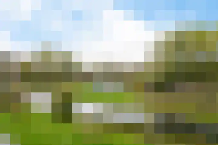 Alferbos 184 Zoetermeer thumbnail 40