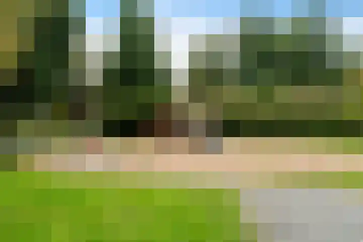 Alferbos 184 Zoetermeer thumbnail 41