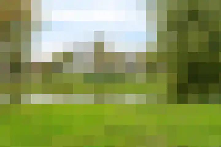 Alferbos 184 Zoetermeer thumbnail 42