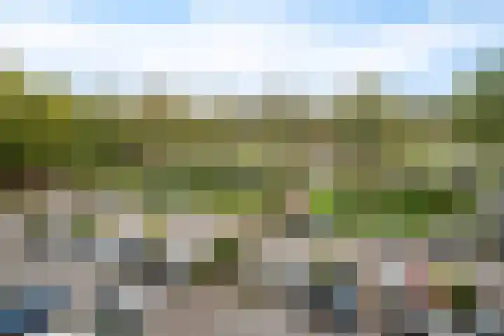 Alferbos 184 Zoetermeer thumbnail 43