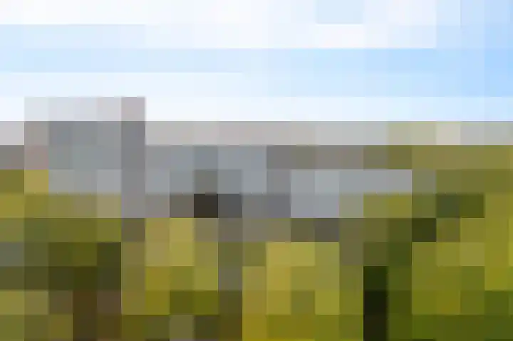 Alferbos 184 Zoetermeer thumbnail 5