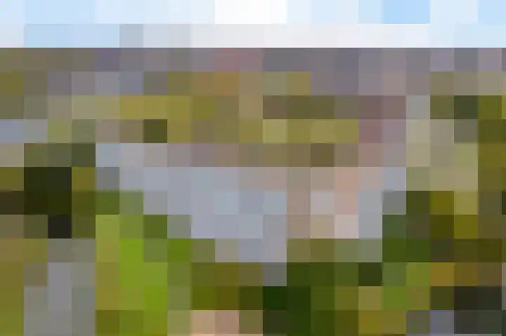 Alferbos 184 Zoetermeer thumbnail 7