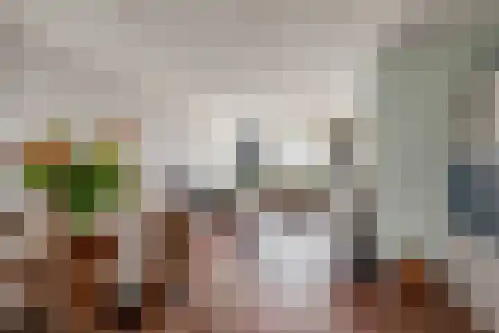 Alferbos 42 Zoetermeer thumbnail 11