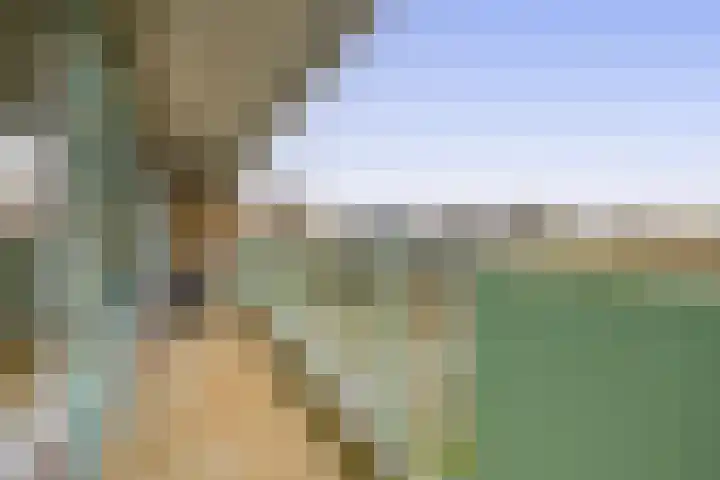 Alferbos 42 Zoetermeer thumbnail 16