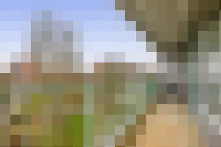Alferbos 42 Zoetermeer thumbnail 17