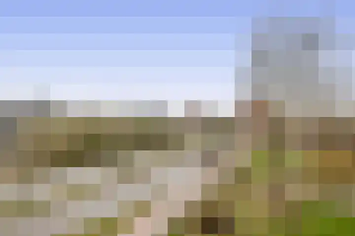 Alferbos 42 Zoetermeer thumbnail 18